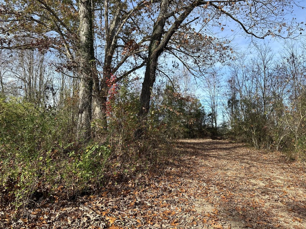 Picture 17