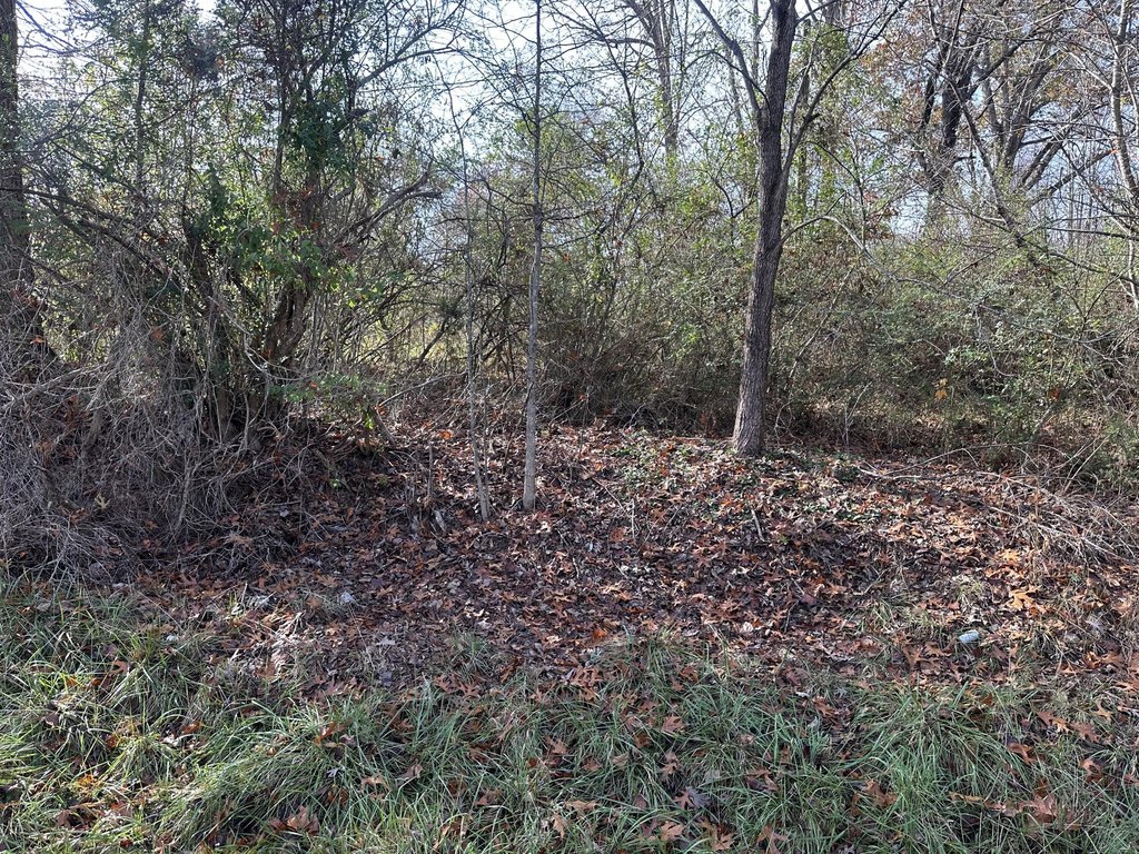 Picture 26