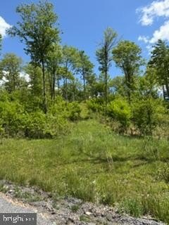Picture 6
