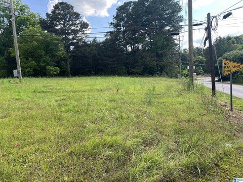Cleared Land in Adamsville, AL