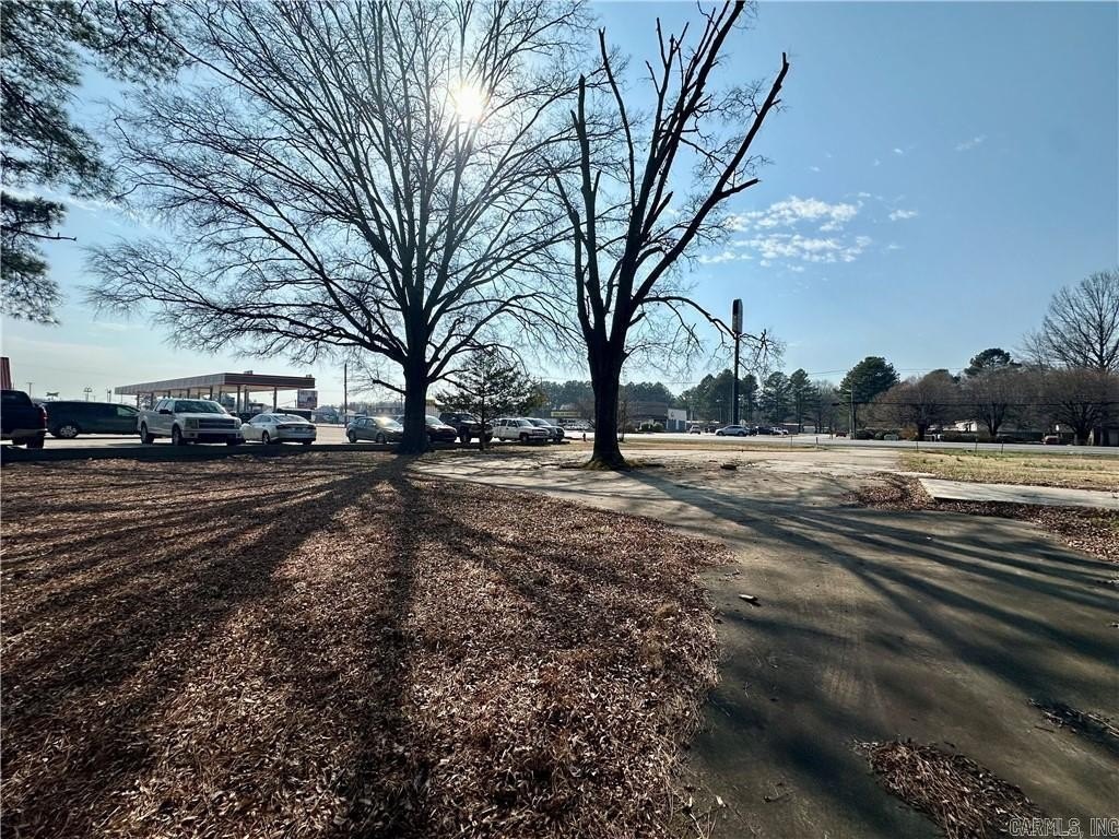 Picture 25