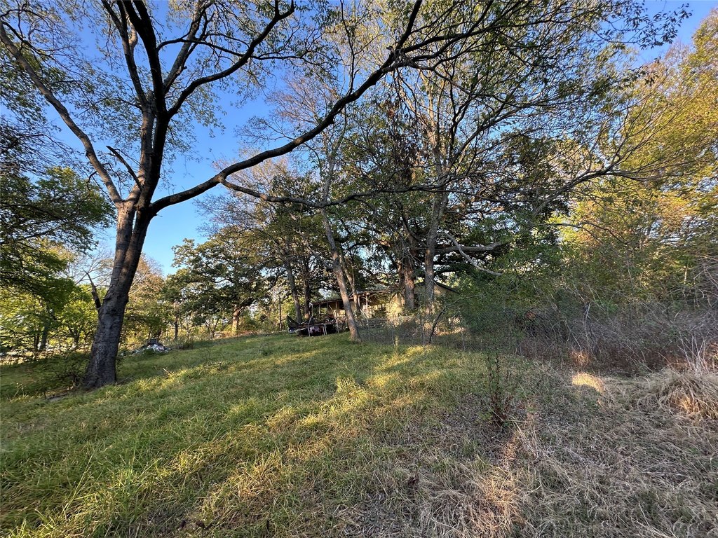 Picture 21
