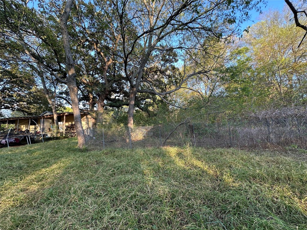 Picture 19