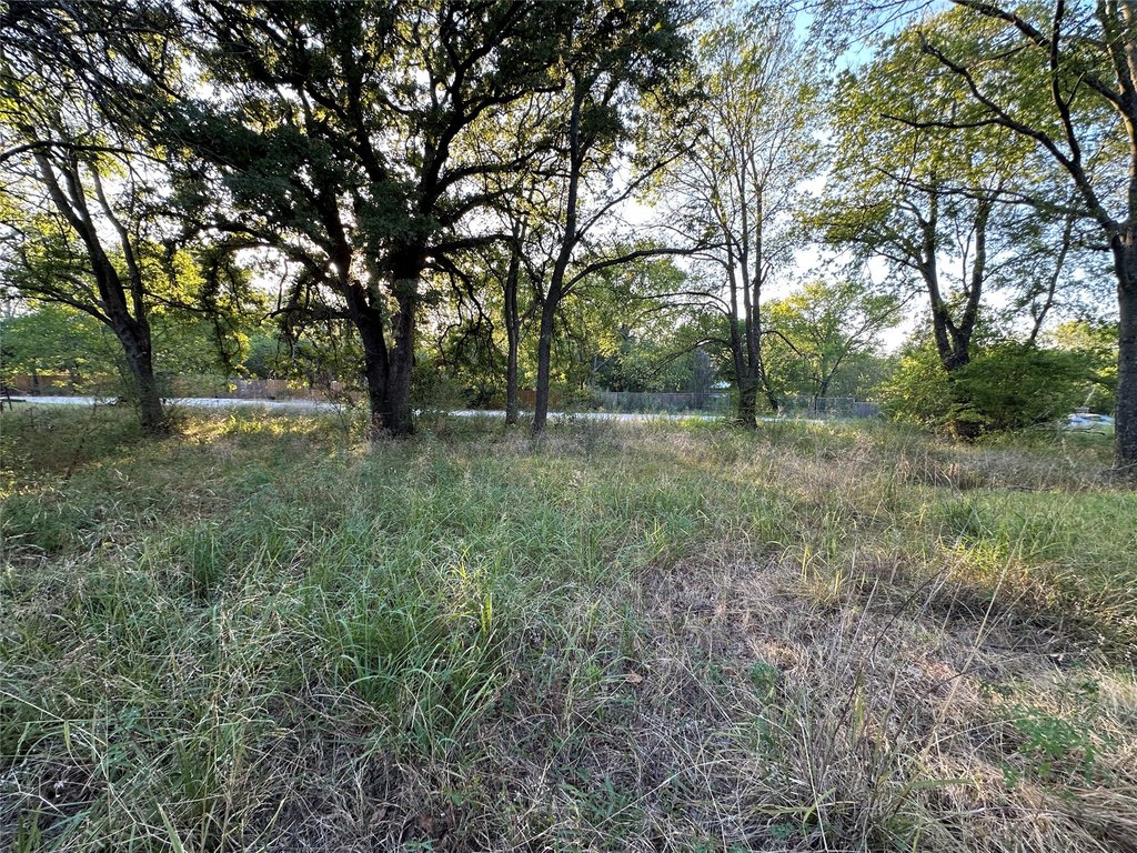 Picture 23