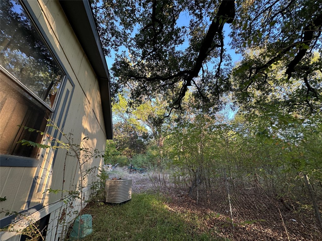 Picture 27