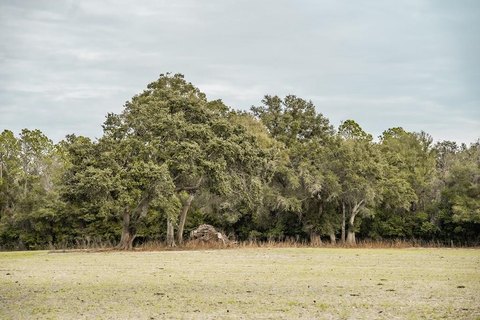 Chiefland, FL Land Opportunity