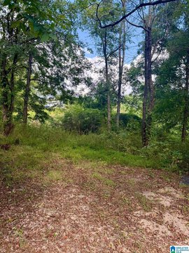LAND/LOTS, LEEDS, AL