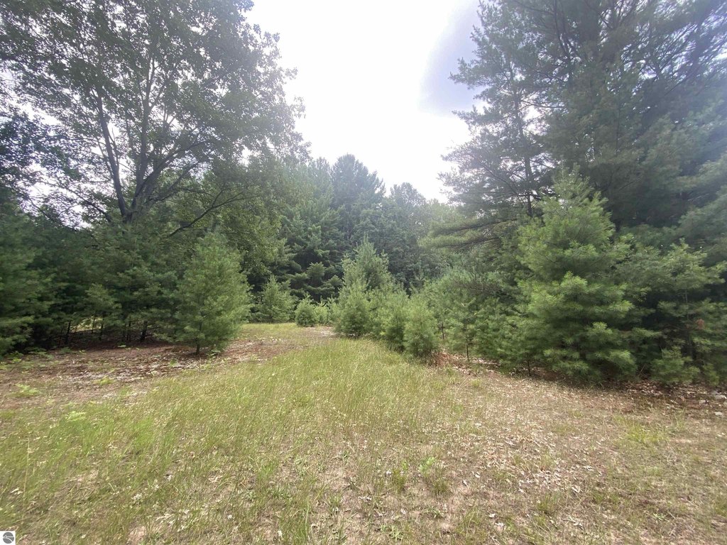 Picture 20