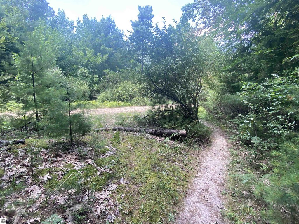 Picture 31