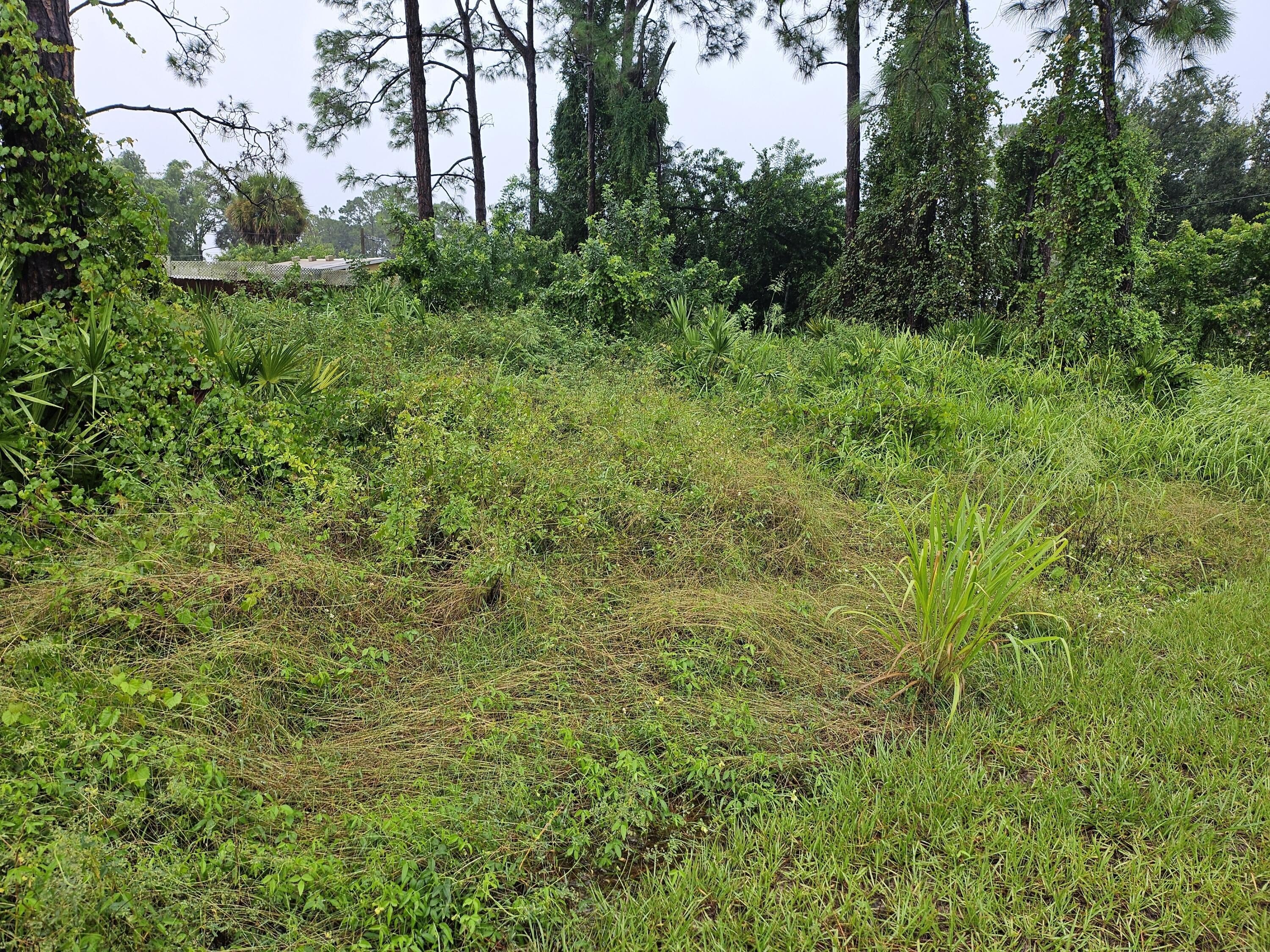 Palm Bay Quarter Acre Lot