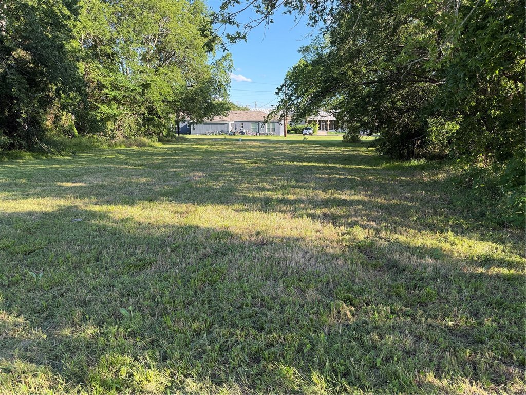 Picture 6