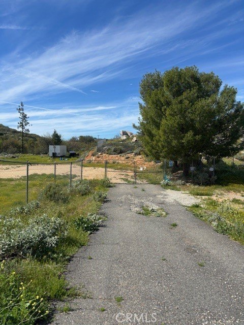 Picture 13