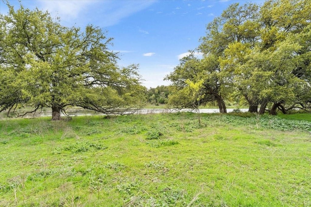 Picture 28