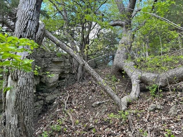 Picture 14