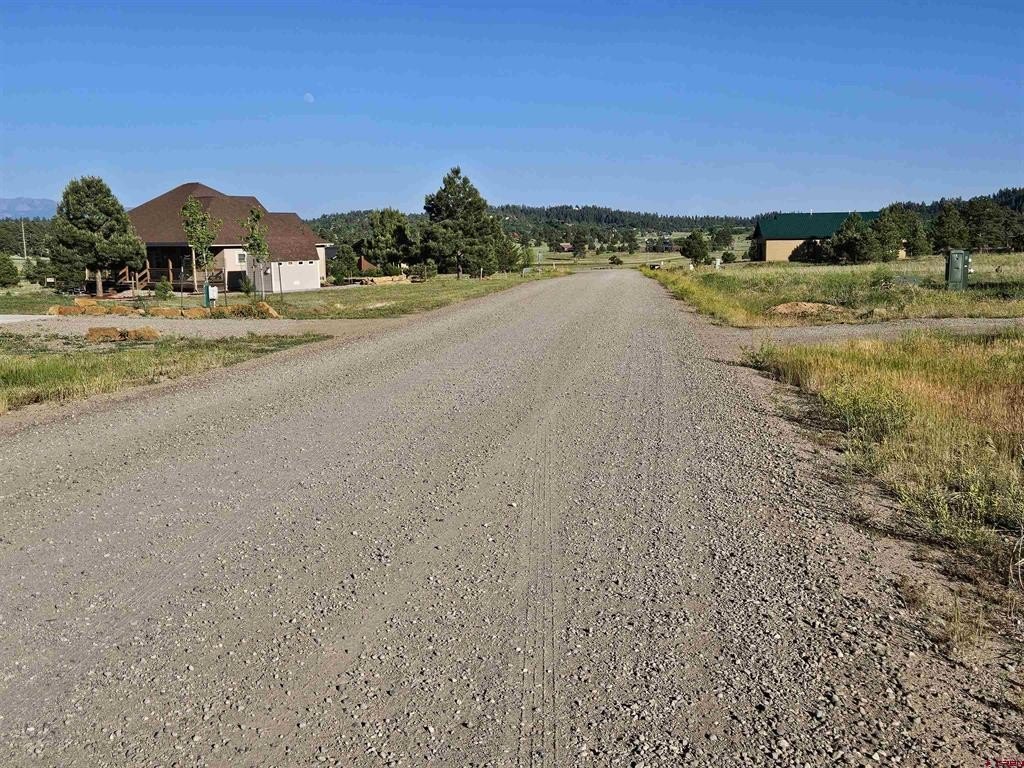 Picture 20