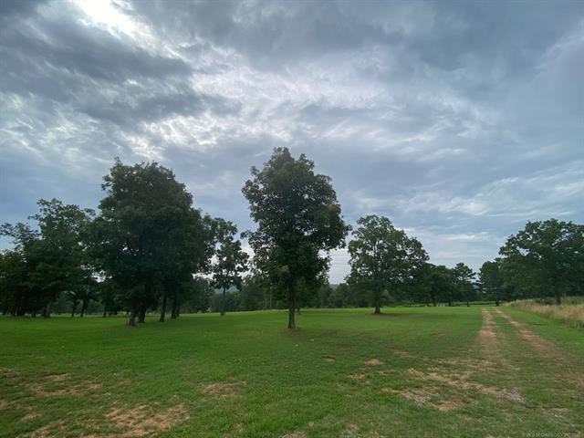 Picture 33