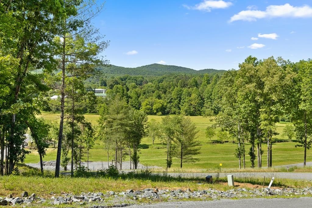 Residential Lot in Gated Community