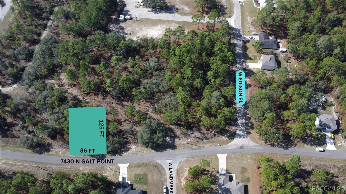 Citrus Springs Land Opportunity