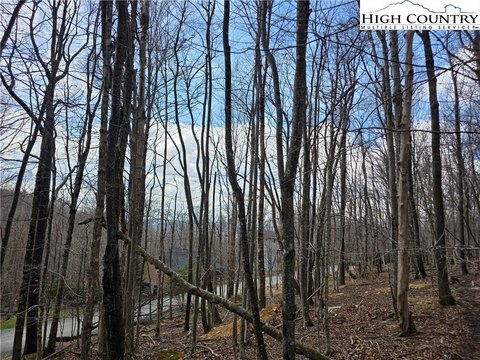 Beech Mountain Land For Sale