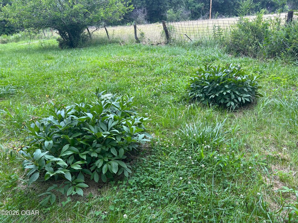 Picture 8