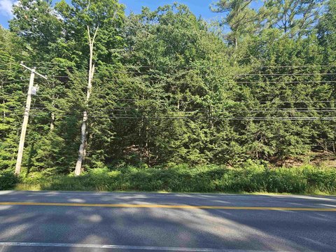 Wooded Residential Development Lot