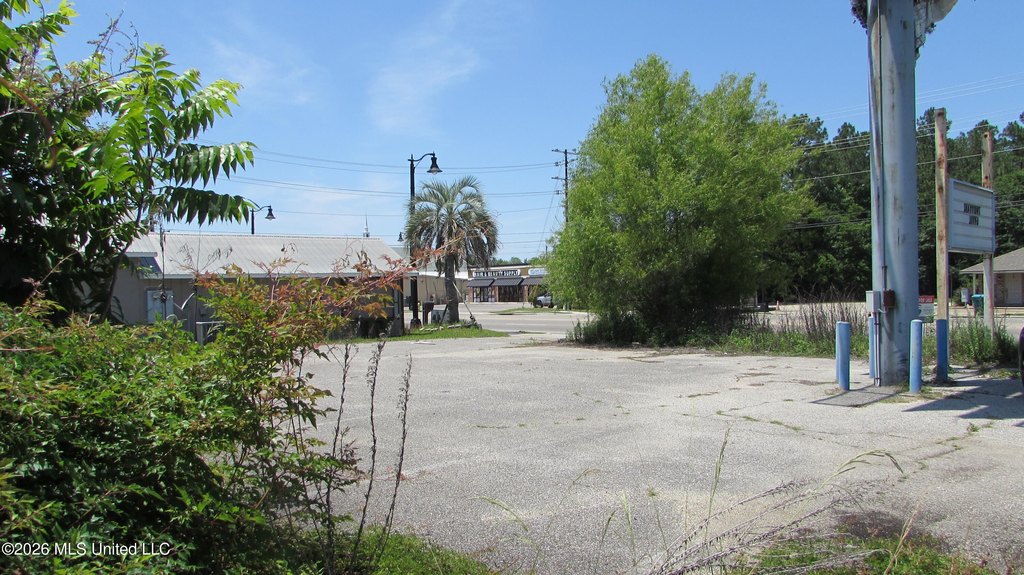 Picture 17