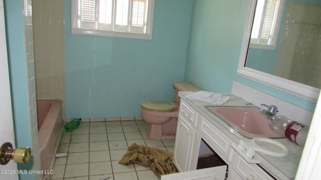 Picture 14