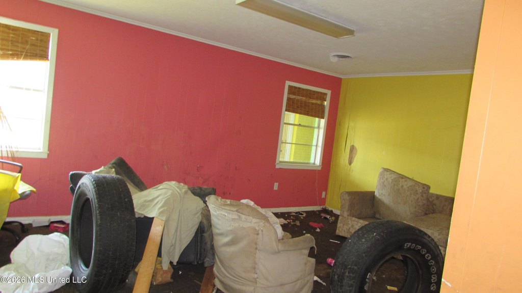 Picture 15