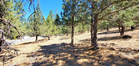 Weed, CA .48-Acre Lot