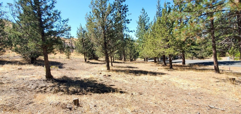 Picture 27