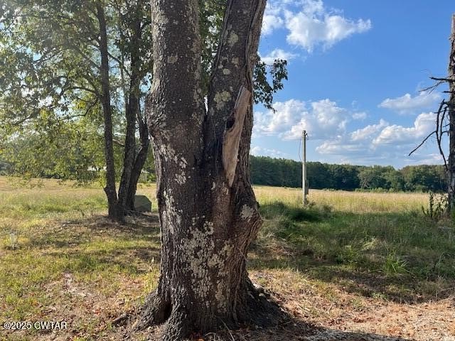 Lavinia, TN Land For Sale