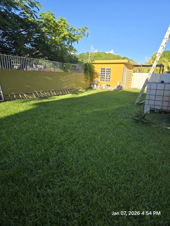 Picture 14