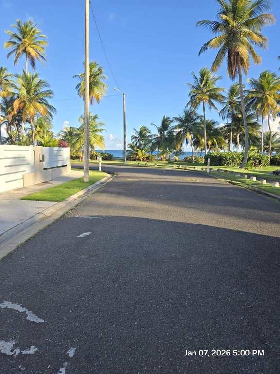 Picture 9