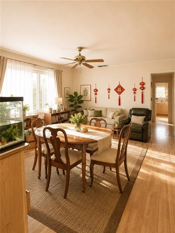 Picture 8