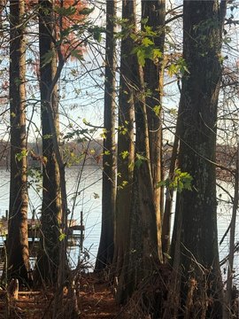 Lake Atkins Waterfront Land