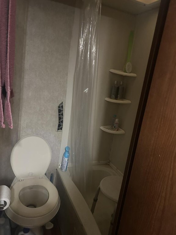 Picture 17