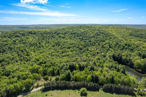 Nineveh Vacant Land For Sale