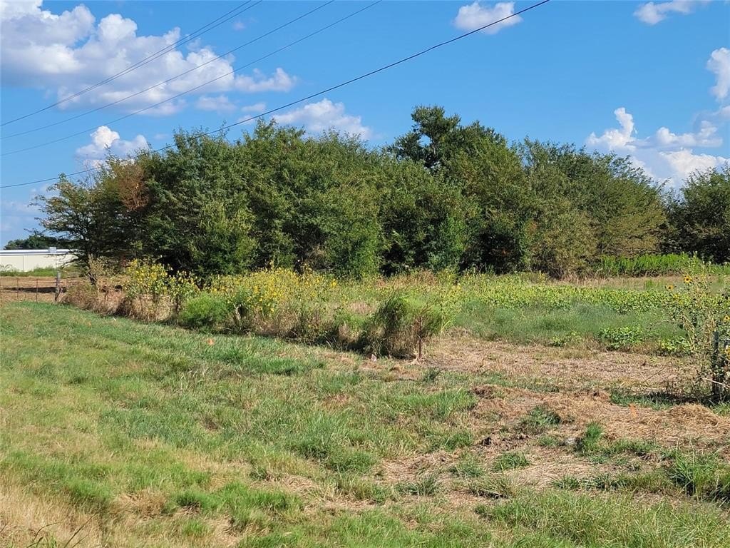 Prime Land in Lindsay, TX