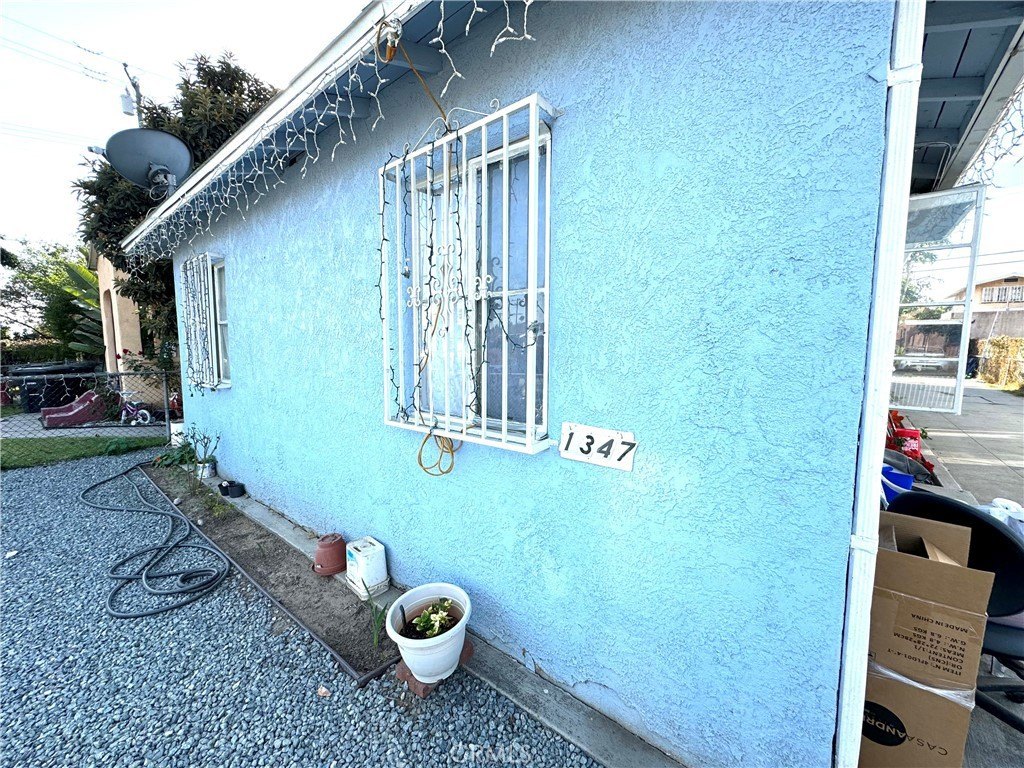 Picture 15