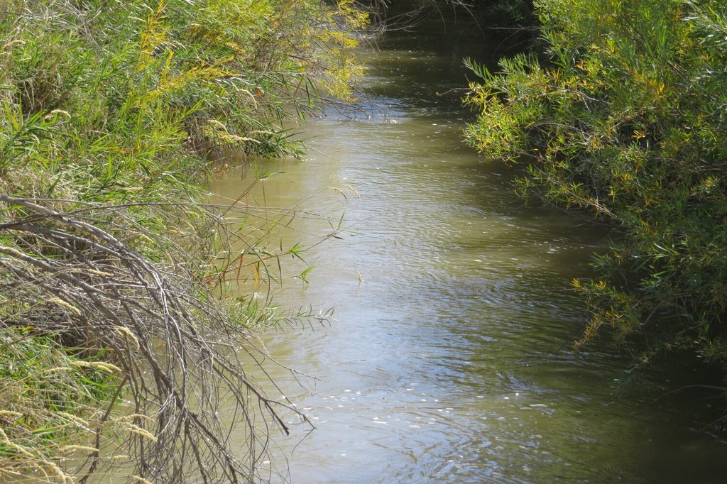 Picture 7