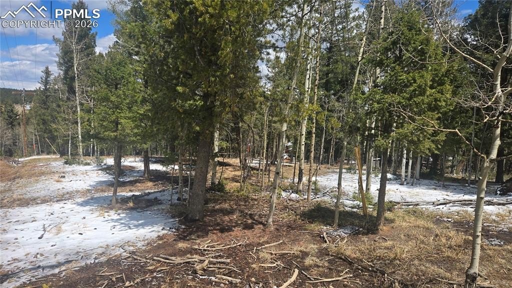 Land in Trout Haven