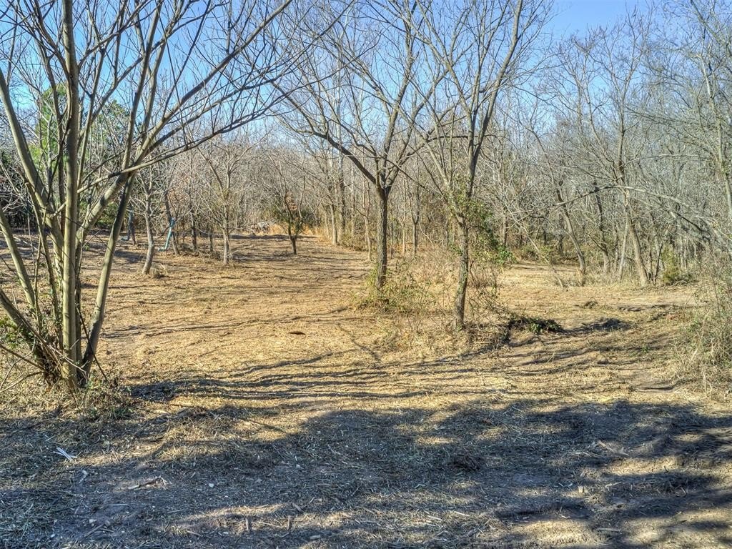 Picture 16