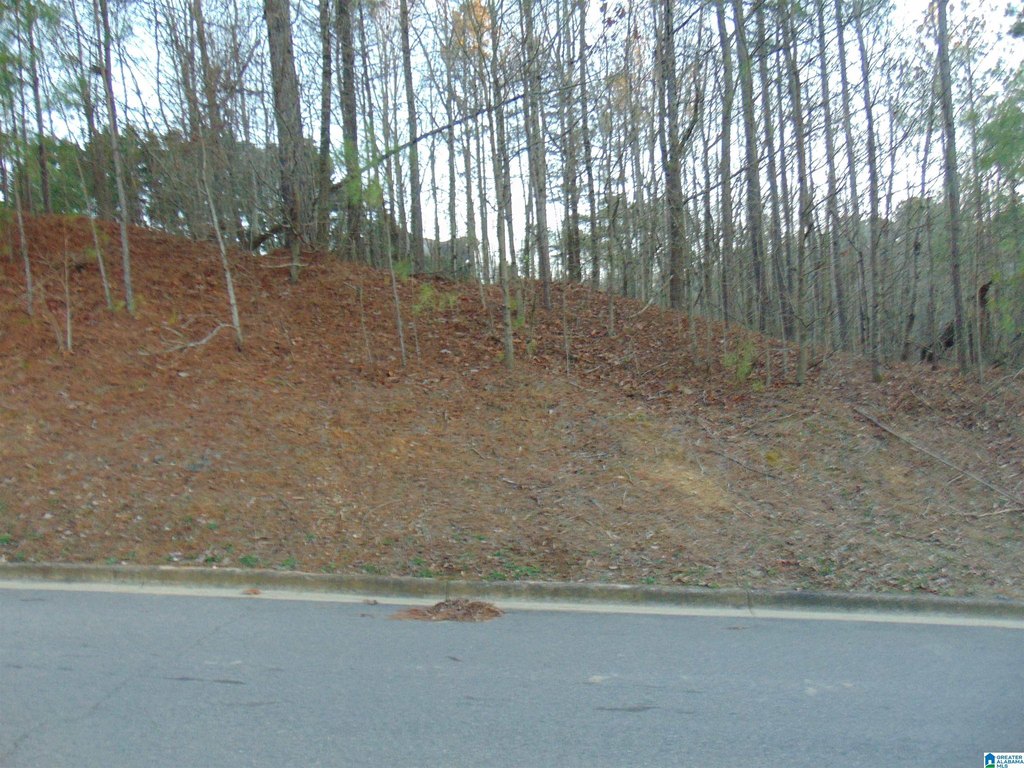 Picture 2