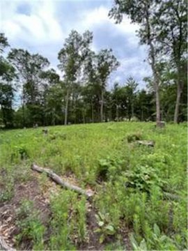 Lots & Land - Ham Lake, MN
