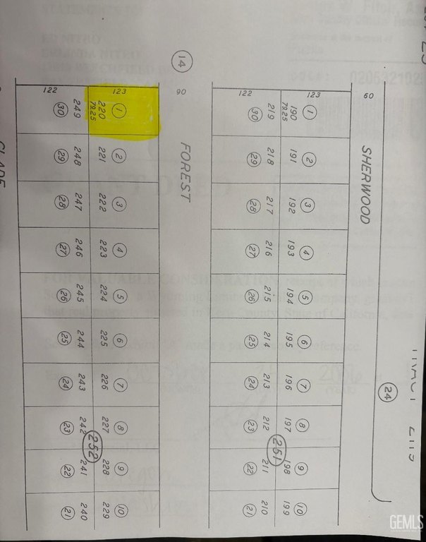 Picture 2