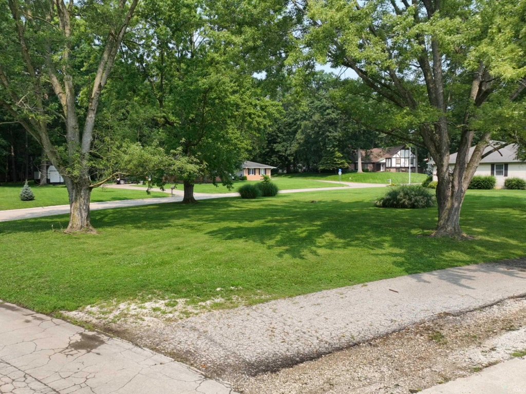 Picture 11