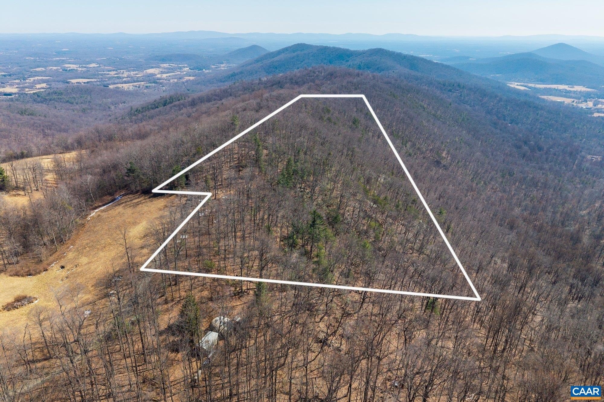 Wooded Land Parcel in Dyke