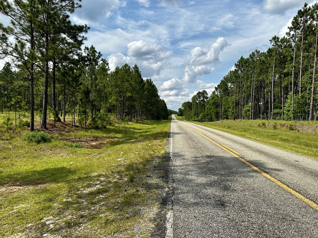 Picture 3