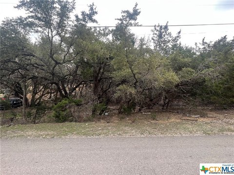 Canyon Lake Vacant Lot