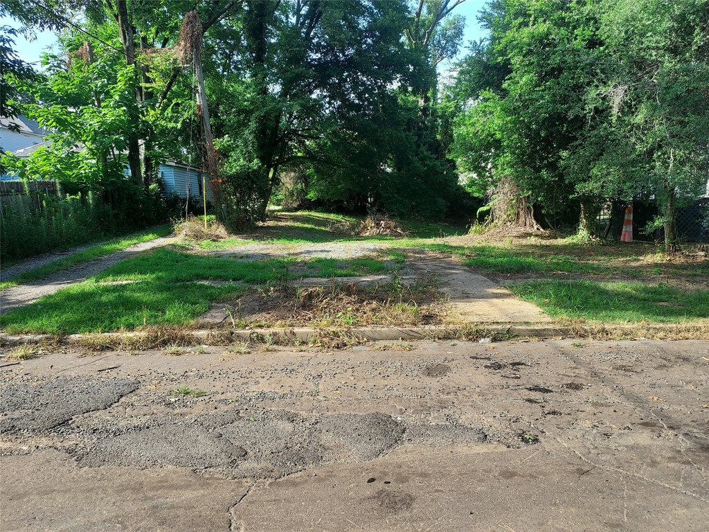 Picture 4